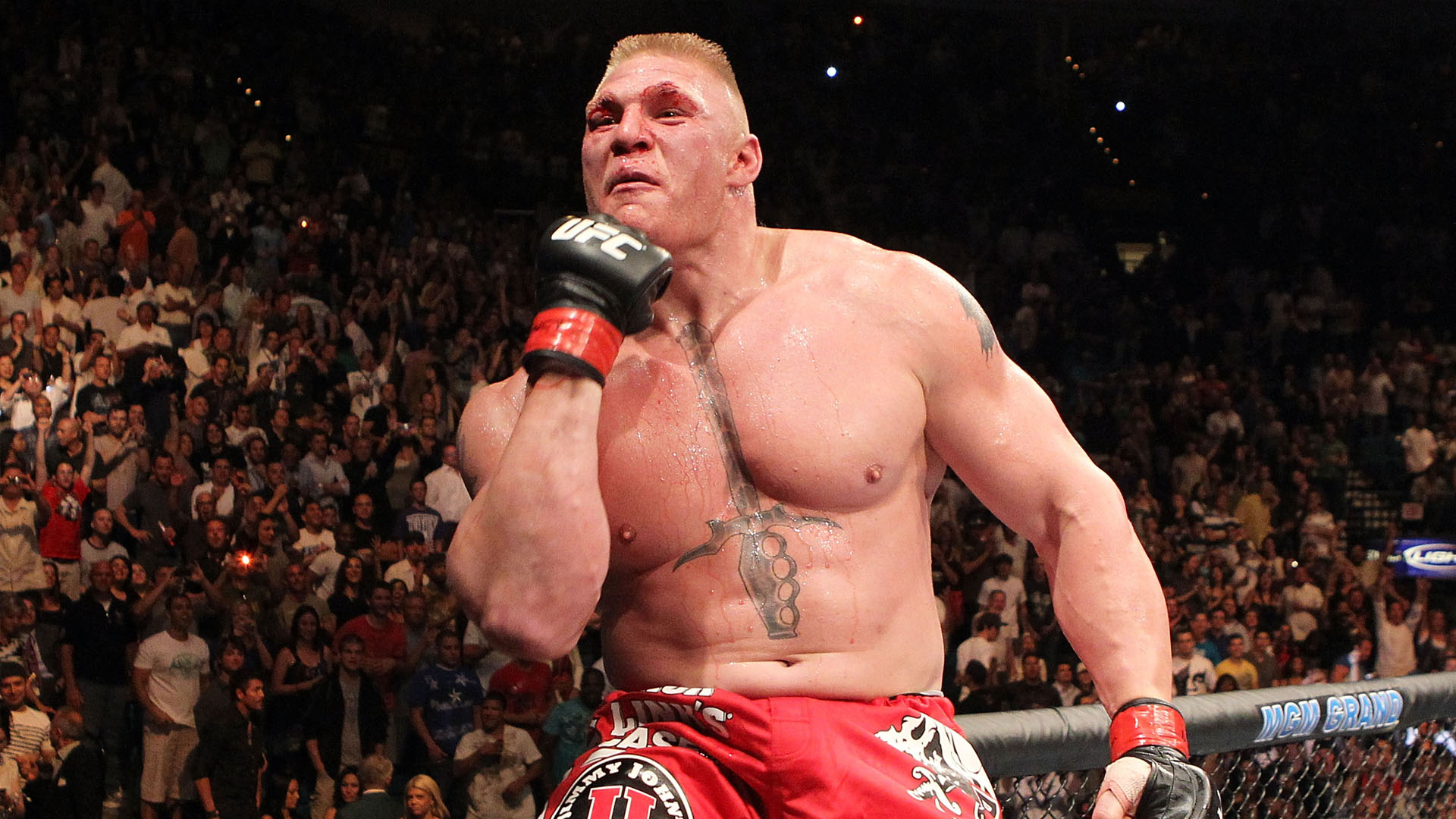 Reverra-t-on Brock Lesnar dans la UFC?